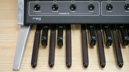 Moog Taurus I