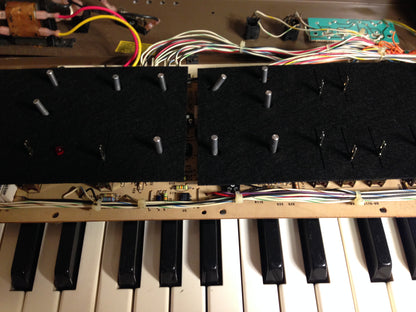 Moog MG-1 / Realistic Concertmate Slider and Switch Dust Gaskets Set image 2